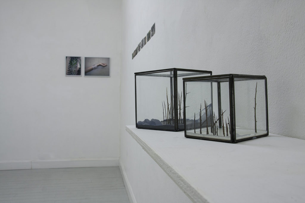 Eros Absconditus, exhibition view