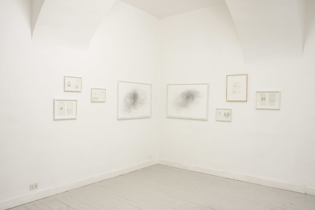 Linea senza fine, exhibition view