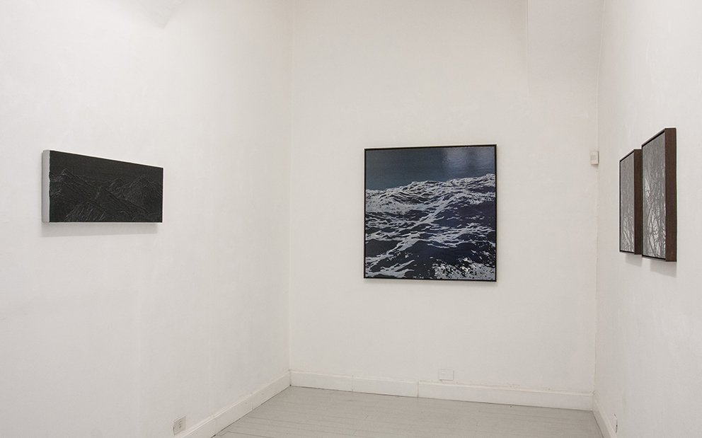 Simulated landscapes, exhibition view